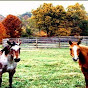 Homesteading At MtnAirFarm