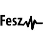 FesZ Electronics