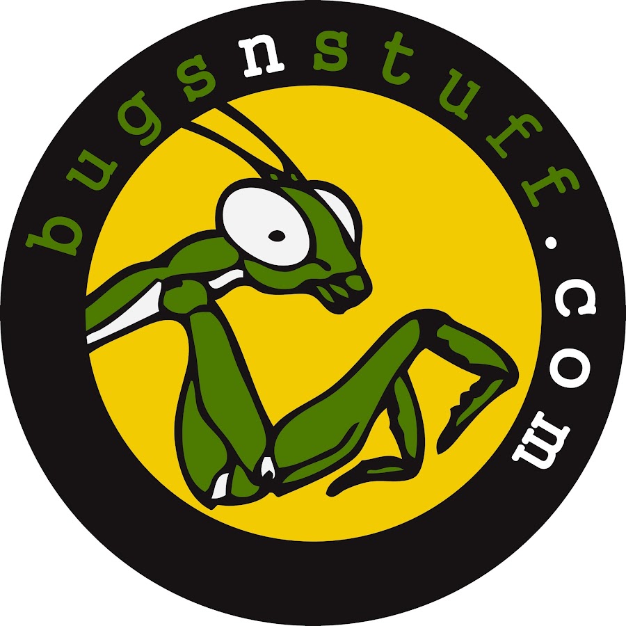 bugsnstuff