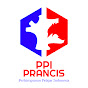 PPI Prancis