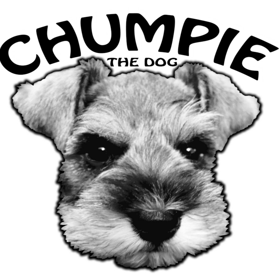 ChumpieTheDog