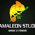 CAMALEON STUDIO (Dance & Fitness)