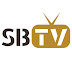 logo Silver Bullion TV