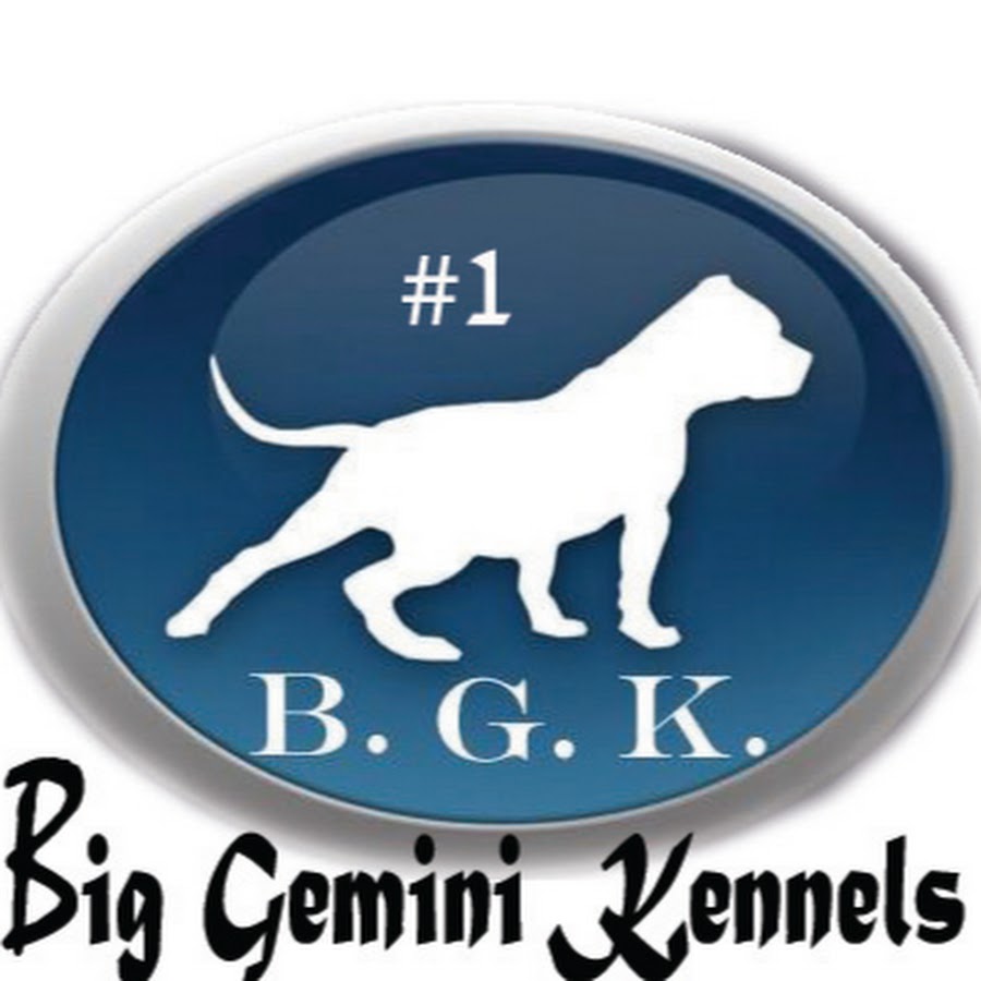 Big Gemini Kennels @geminiproduct