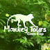 Costa Rica Monkey Tours