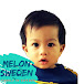 เมล่อน สวีเดน Melon family Sweden