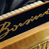 Acordeon Borsini