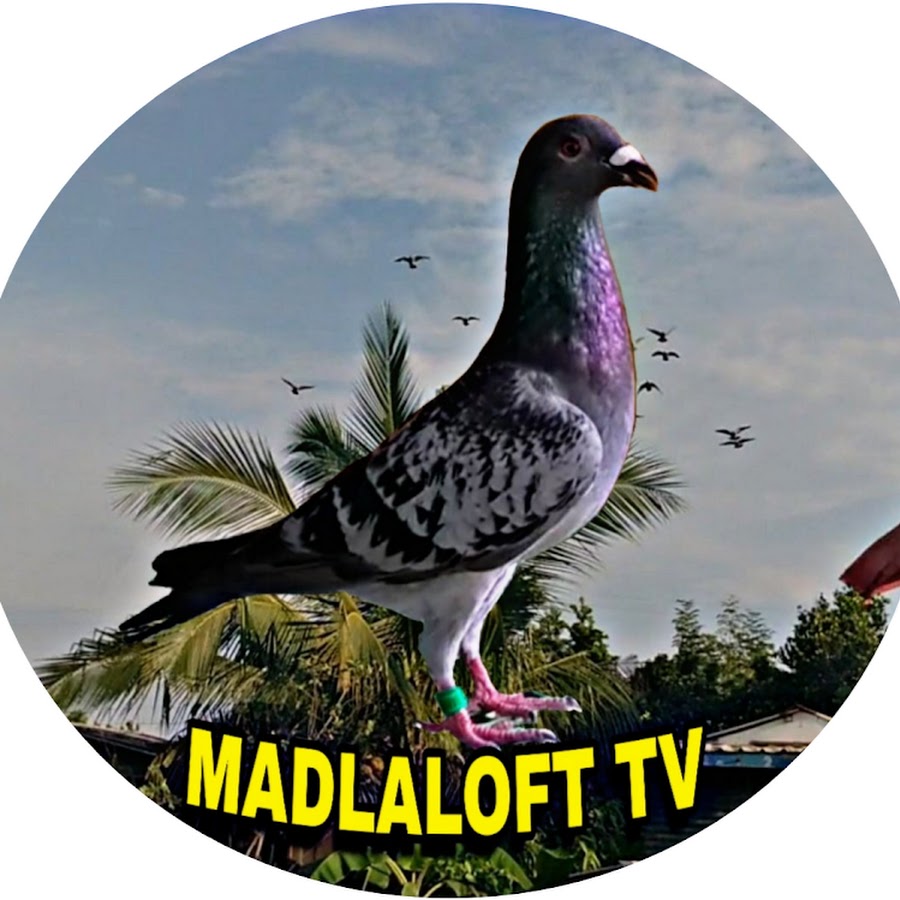 Madla Loft TV @MadlaLoftTV