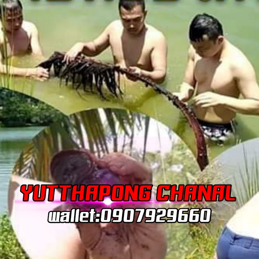 Ready go to ... https://www.youtube.com/channel/UC37H9K1n_3bymCi3sDrbVOg [ yutthapong Chanal]