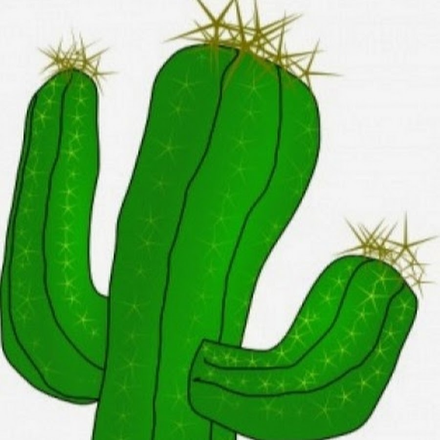 Dr.Cactus