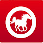 Total Horse Channel