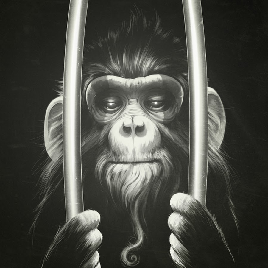 Monkey digital. Lukas Brezak. Обезьяна арт. Крутая обезьяна.