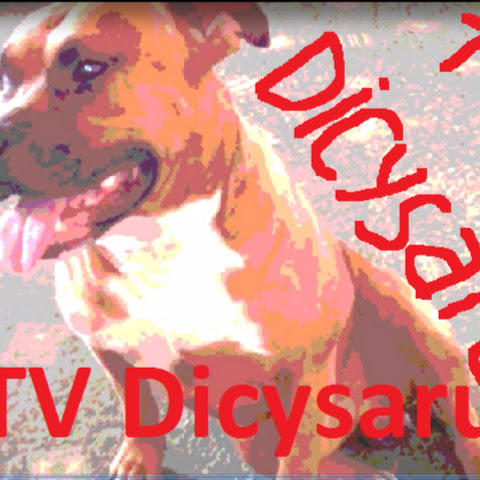 tvdicysaru820