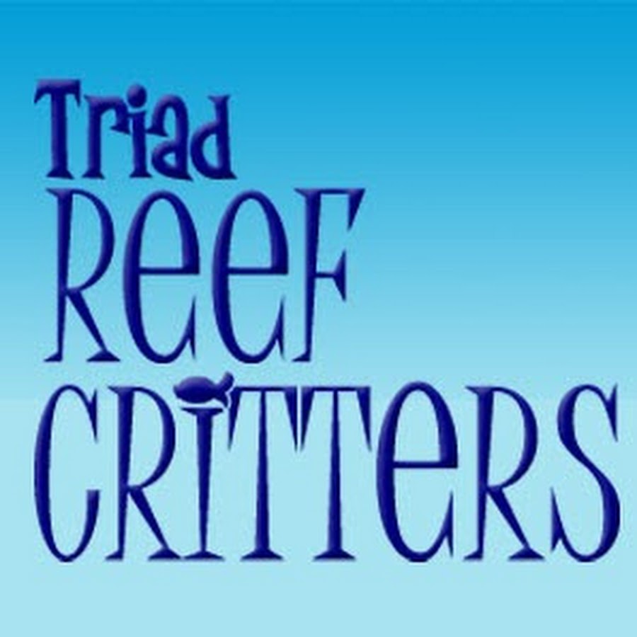 Triad Reef Critters YouTube