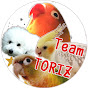 Team “チーム トリズ” TORIZ