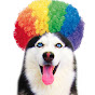 Funny Sofia Show youtube avatar
