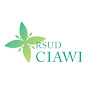 Official RSUD CIAWI