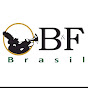 B&F Brasil