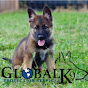 Global K9 Protection Services