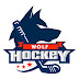 logo Wolf Hockey