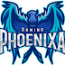 logo Phoenixa