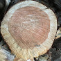 Afternoon in the wood-burning shed