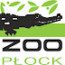 ZOO Płock