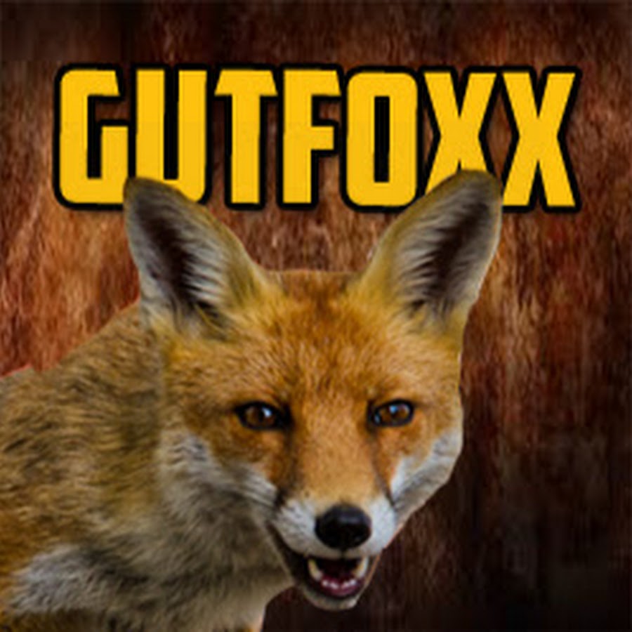 GutFoxx - YouTube