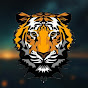 8D Tiger