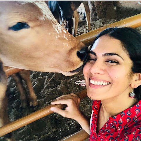 influencer profile picture