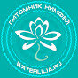 Нимфеи WaterLilia ru продажа нимфей кувшинок