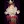 scumpii avatar