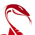 logo Kelfezond