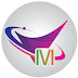 logo Viffel Multimedia