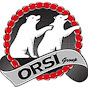 orsi-group.ru