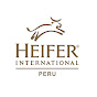 Heifer Perú