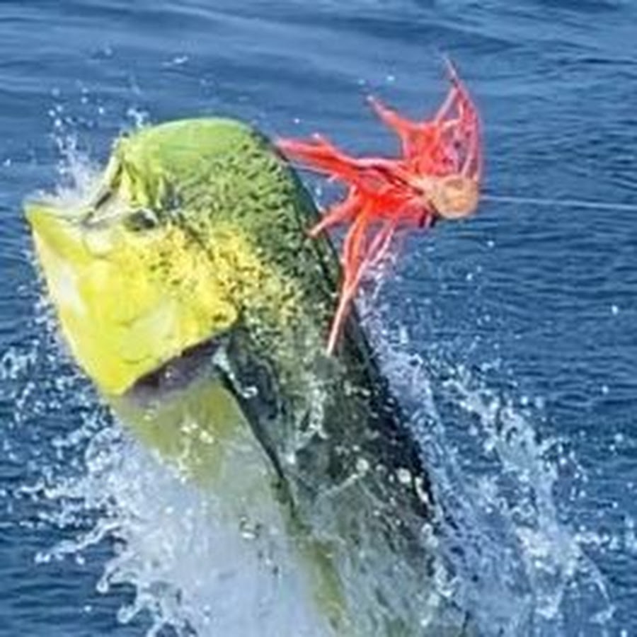 JAW LURES OFFSHORE DOMINATOR