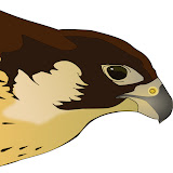 Hawkzin CS:GO