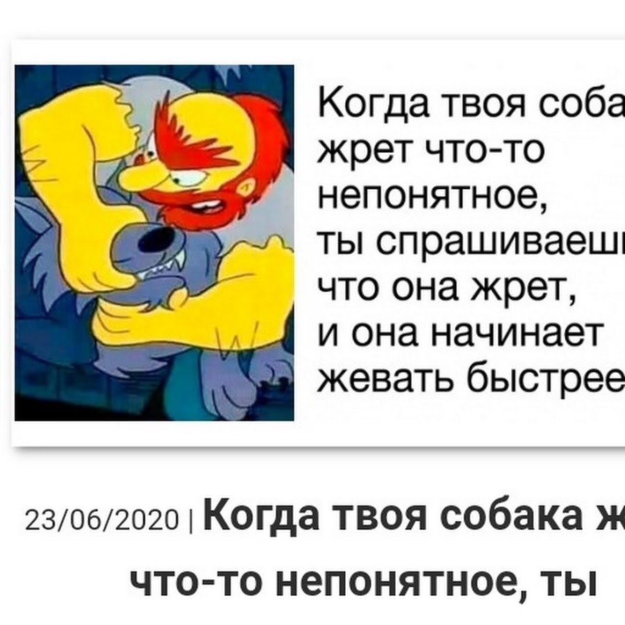 Когда твоя собака что-то жрёт. Когда твоя собака сожрала. Когда твоя собака жрет что то непонятное. Когда твоя собака что то съела.