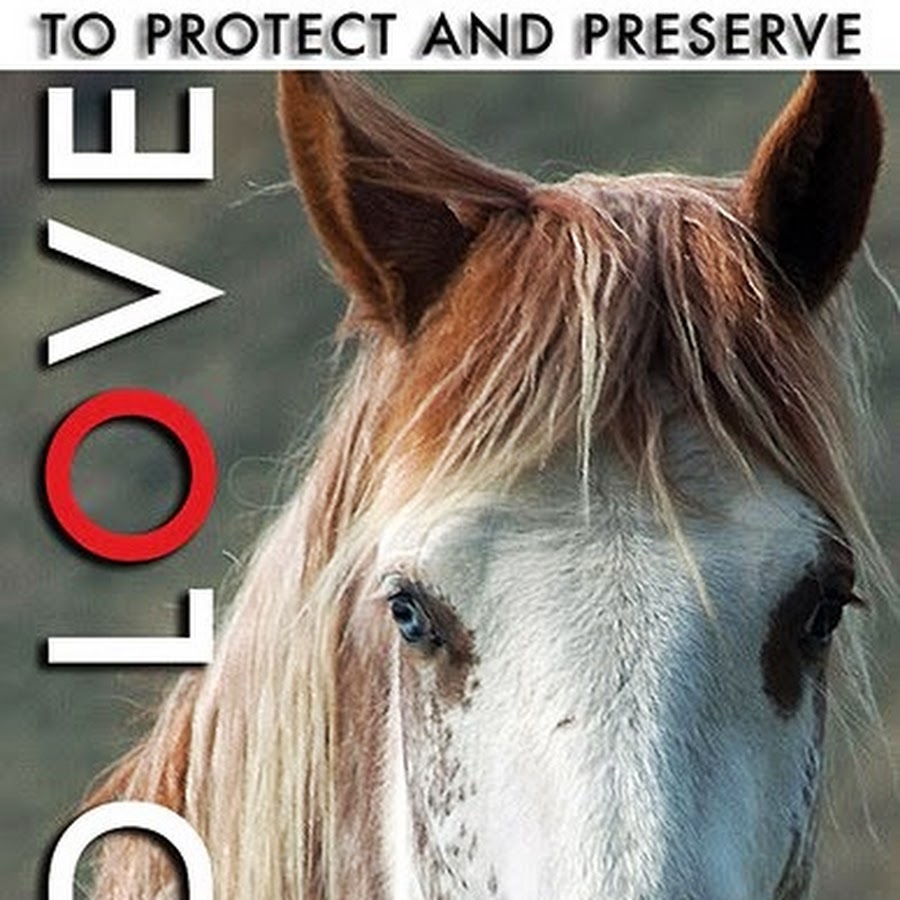 Wild Love Preserve