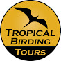 Tropical Birding