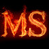 logo Магазин АвтоЗвука MAX SOUND