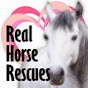 Real Horse Rescues