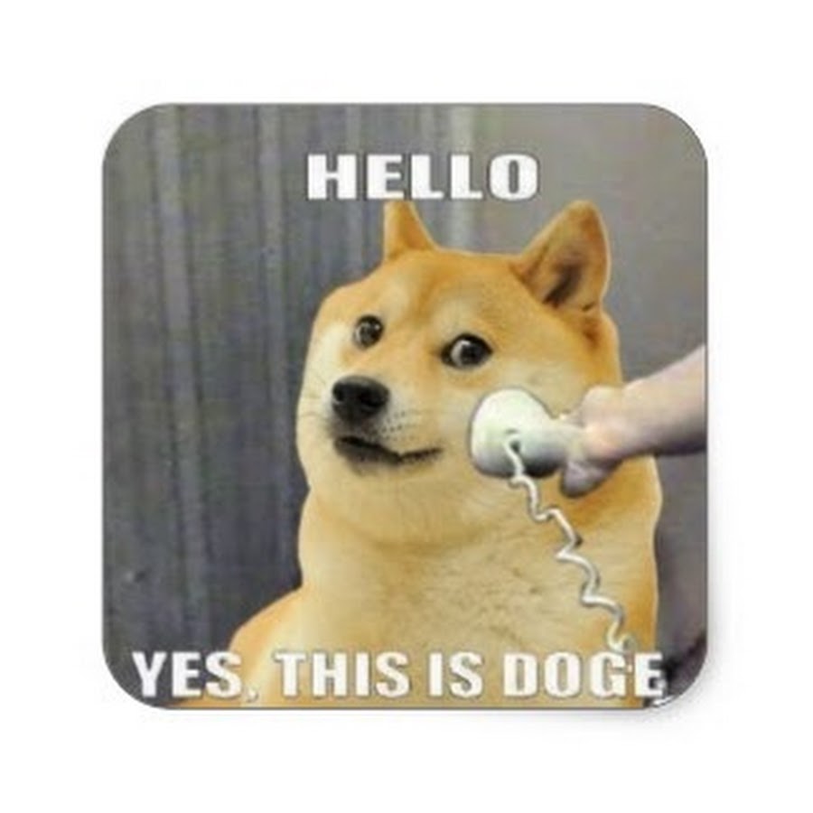 Yes this is dog. Hello Yes this is Dog. Собака в магазине Мем. Yes Мем с собакой. Пёс в магазине Мем.