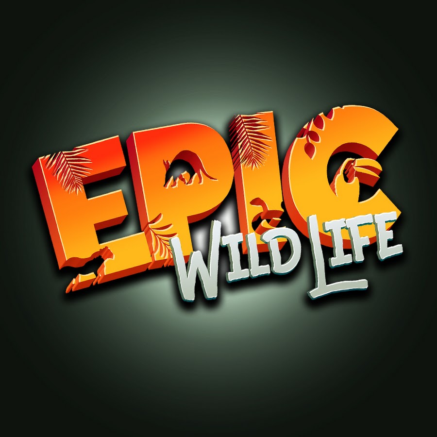 Epic Wildlife @EpicWildlife