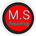 MS Repairing