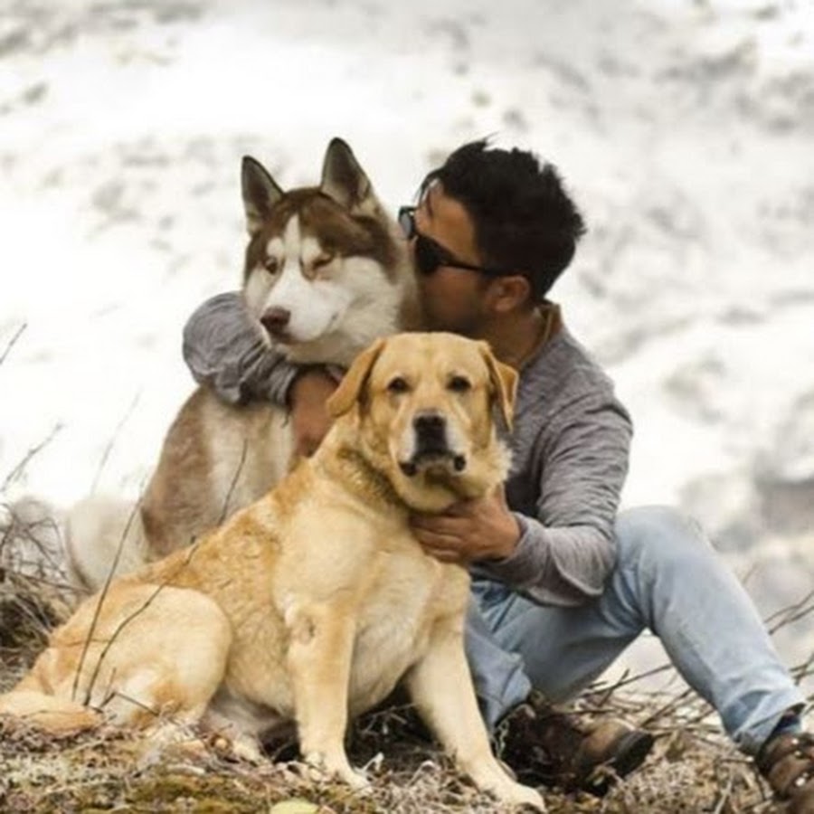 Himalayan husky store