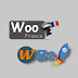 WooFrance WB2 Tutos WordPress - WooCommerce