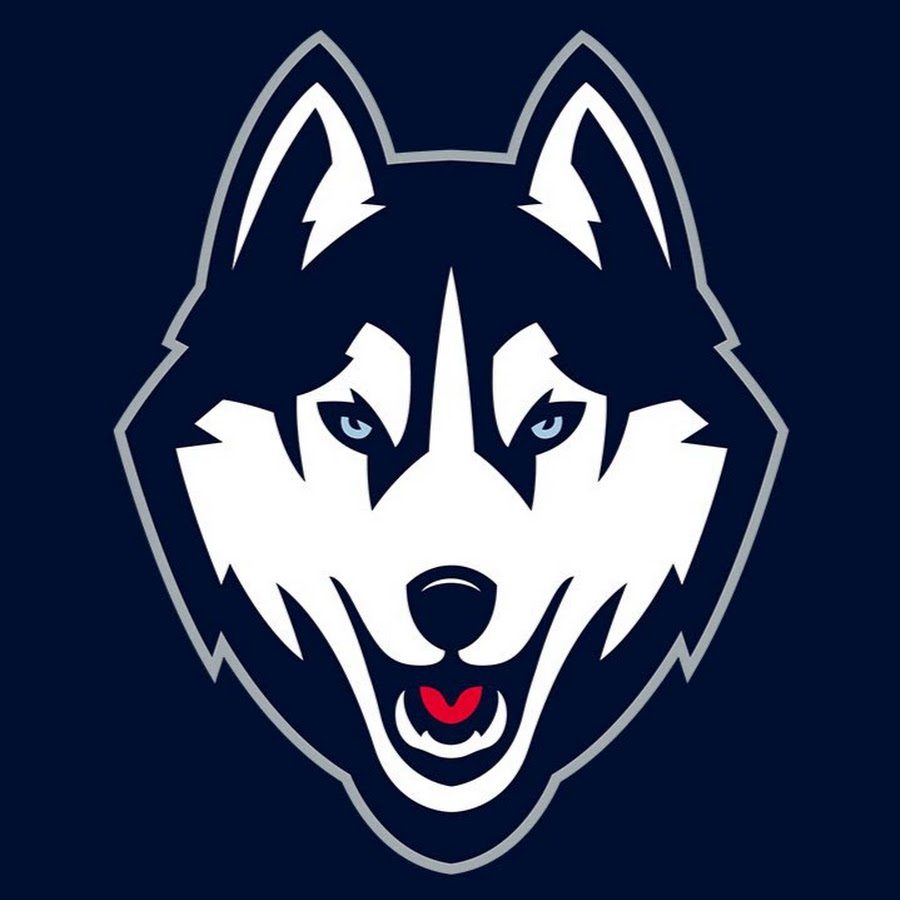 Аватарка лайка 2023. Husky жижа logo. Хаски вектор. Морда собаки хаски. Лайка логотип собака.