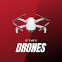 Steve's Drones